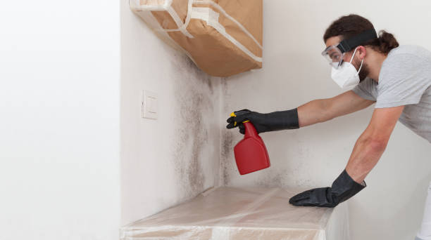 Professional Mold Testing technician working in Milton, FL